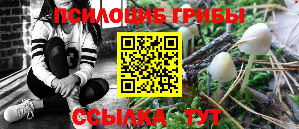 цена   Галлюциногенные грибы Psilocybe  Вход с VPN  Щёкино 