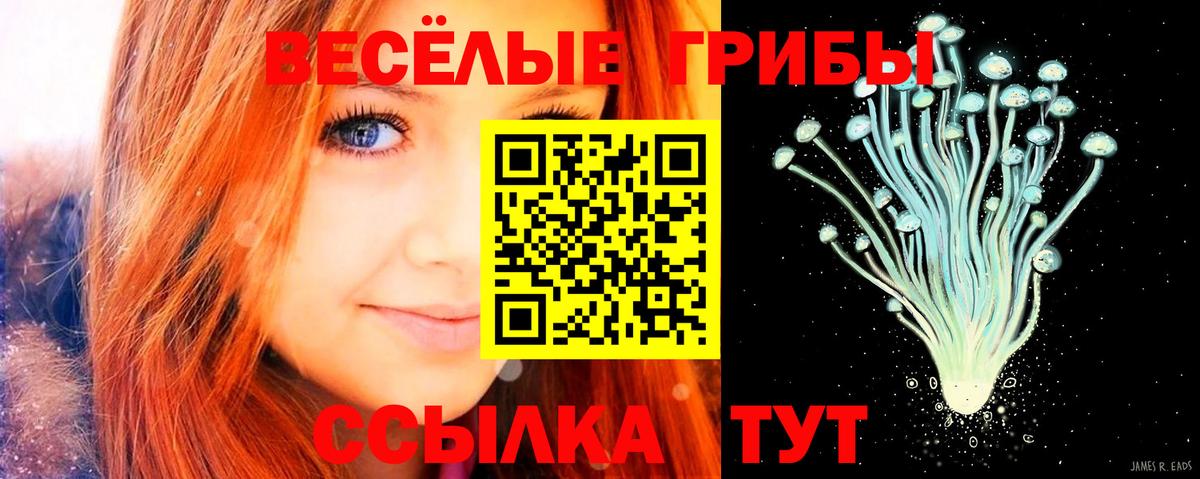 Галлюциногенные грибы GOLDEN TEACHER Щёкино